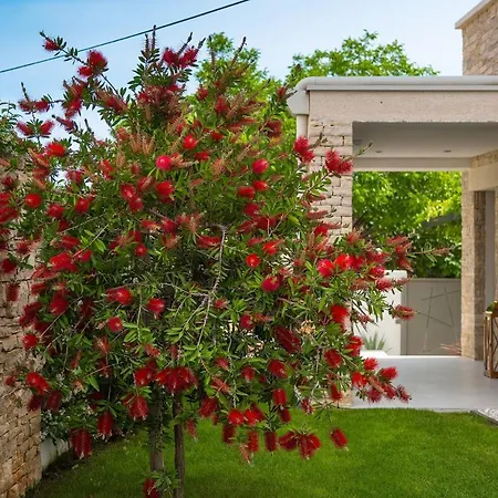 White Villa *